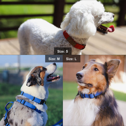 Lof Dog Collar