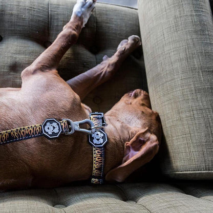 Flame Thrower Dog Collar