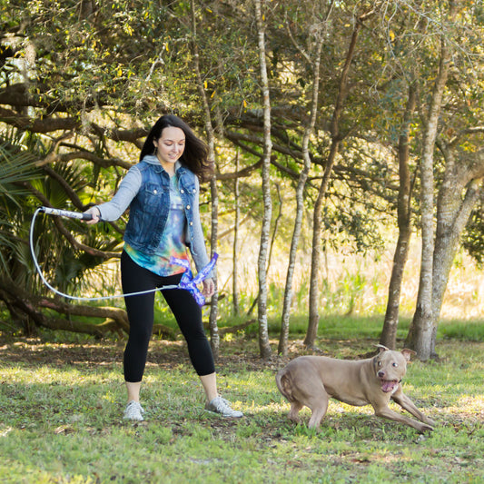 Pole V2 Dog Exercise & Training Toy