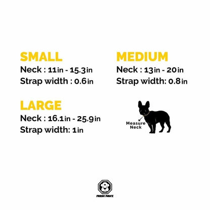 G-Stripe Dog Collar